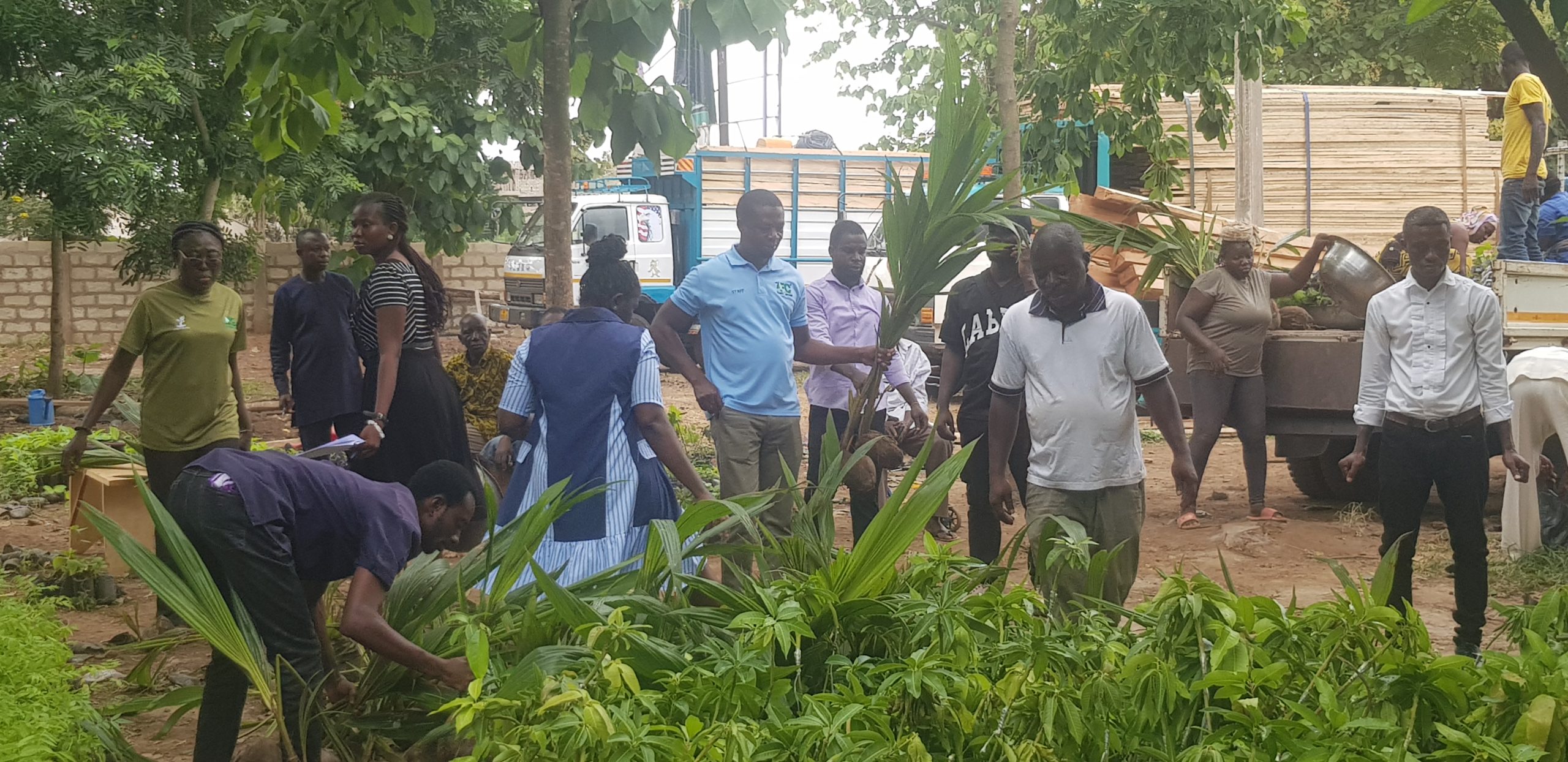 Sunyani Forest Services Division Exceeds Target Plants Close To One