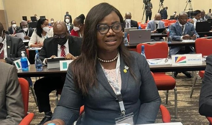 Fighting organised crime requires institutional collaboration - EOCO ...