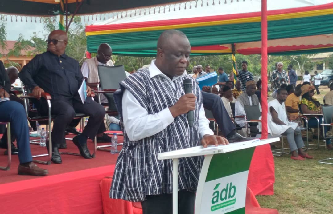 Agriculture remains major priority—Deputy Minister | Ghana News Agency