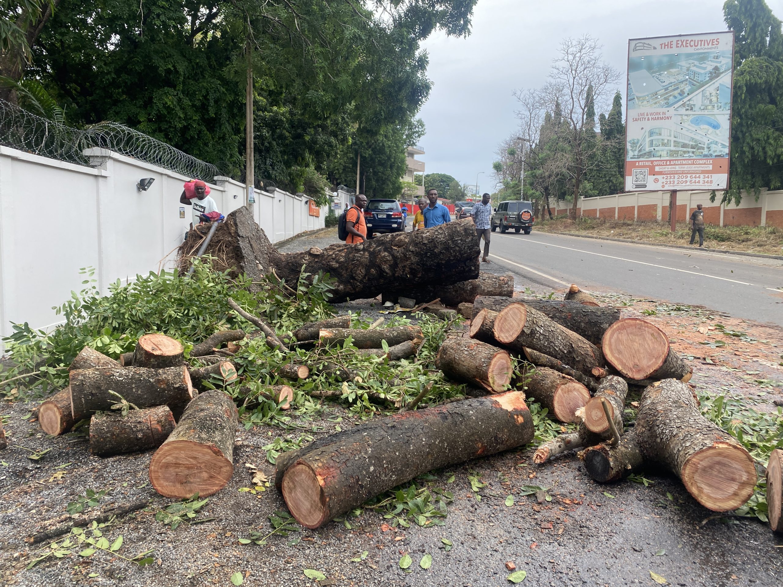 Prune trees to prevent accidents — Parks and Gardens | Ghana News Agency