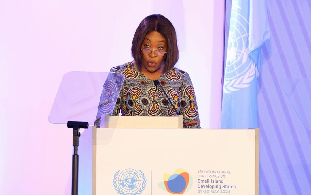 Ghana pushes for international financial system to protect vulnerable nations