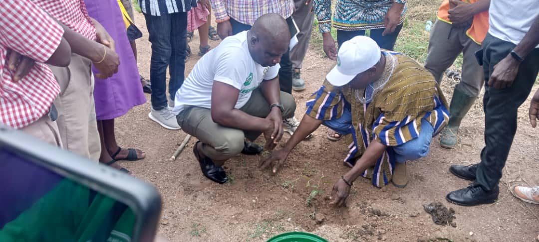 Let's plant trees to replenish lost vegetative cover-Kadjebi DCE ...