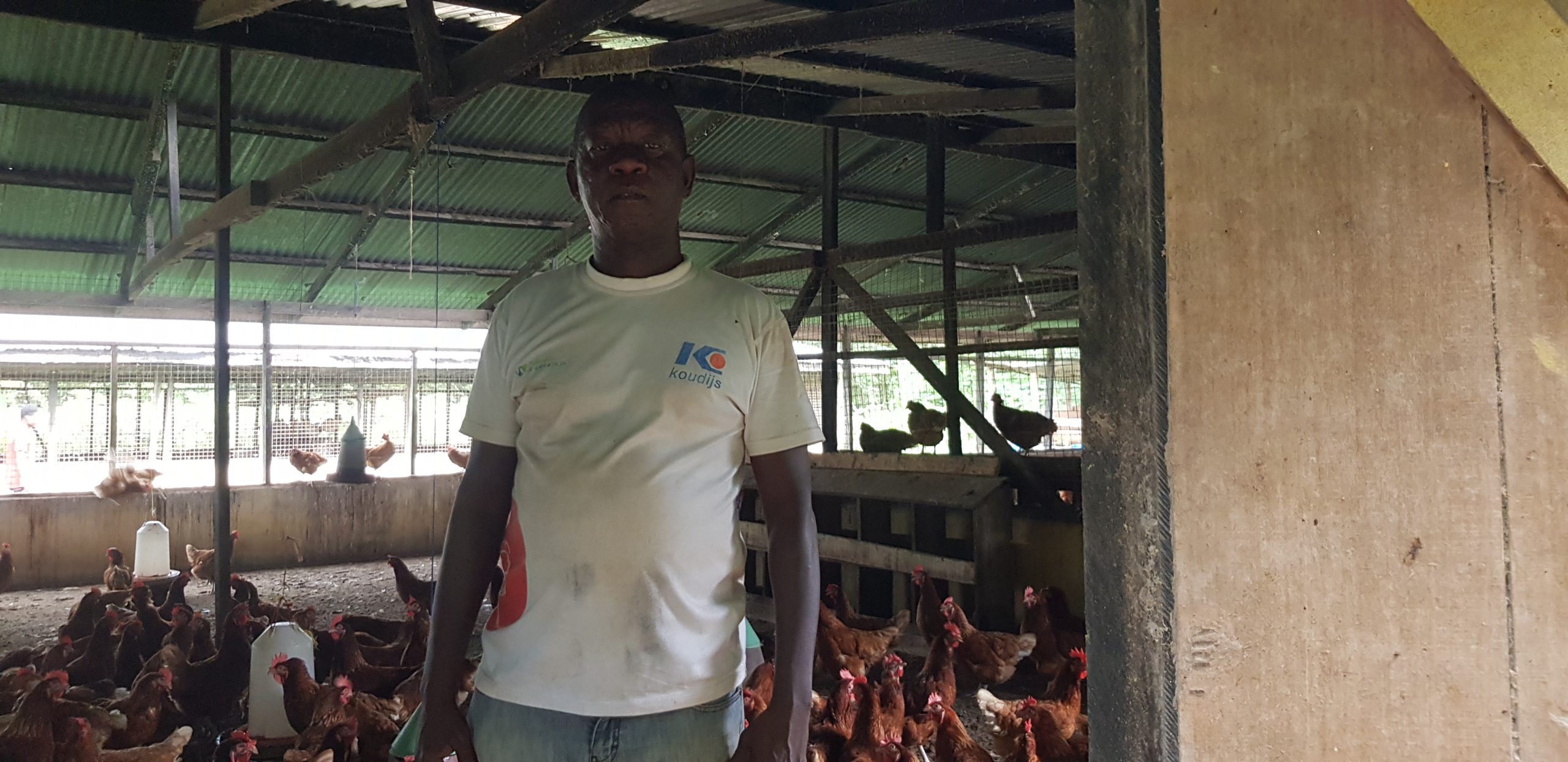 Poultry farmers appeal for processing factories   