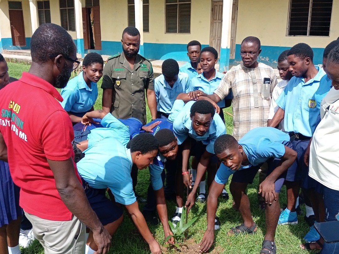 Civic Education Clubs in Ashanti plant trees to mark World Environment ...