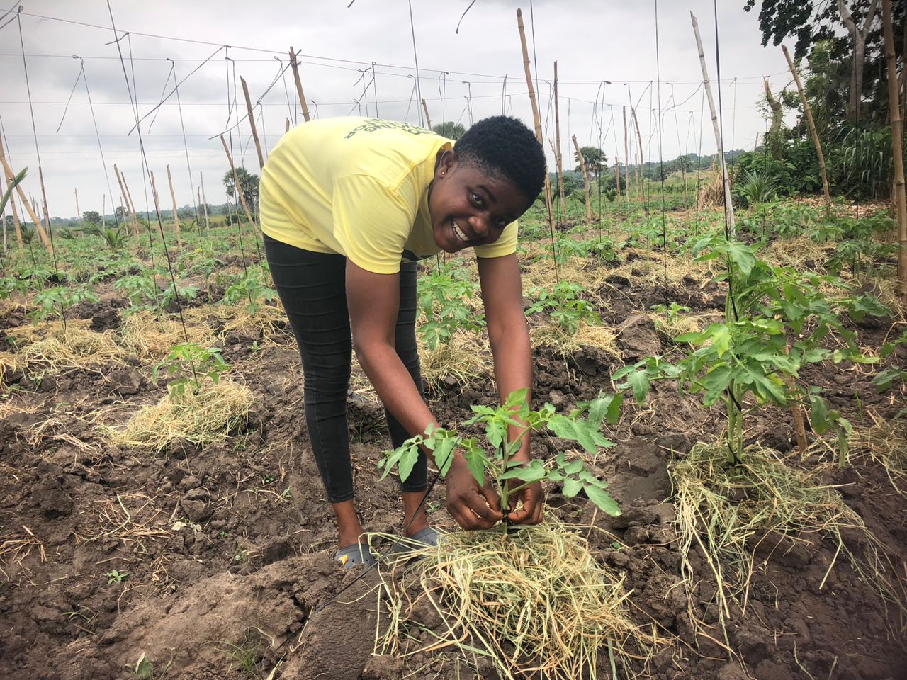 Youth in Agriculture: Maphlix Trust Farms empowers NSS personnel and others