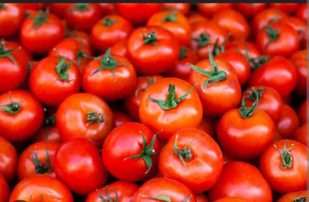 Tomato traders call for farmer training to boost local production