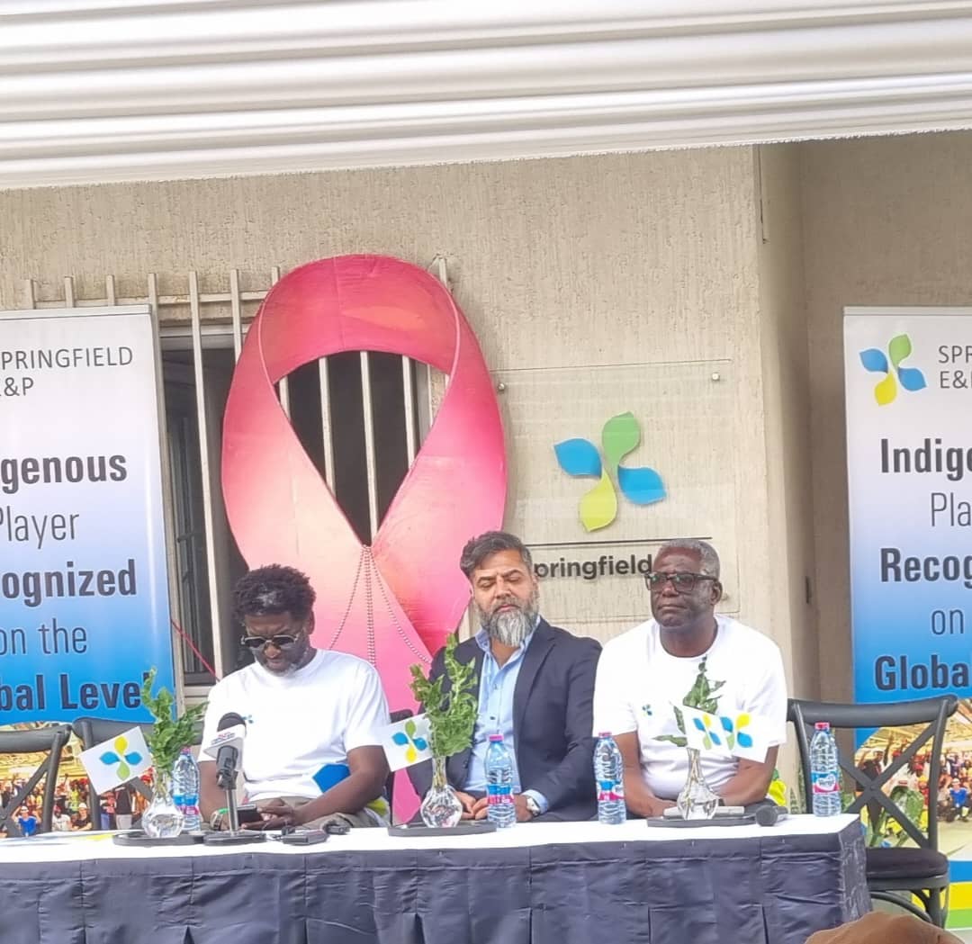 Springfield begins appraisal campaign on Afina-1x field | Ghana News Agency
