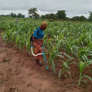 Ghana's Food Security Challenges: Time to prioritise climate-resilient ...