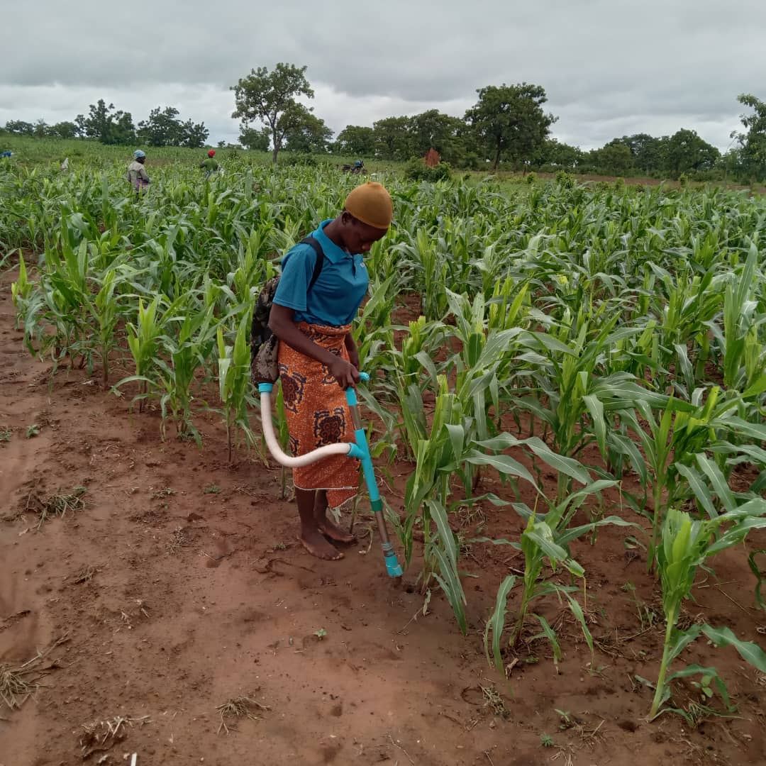 Ghana's Food Security Challenges: Time to prioritise climate-resilient ...