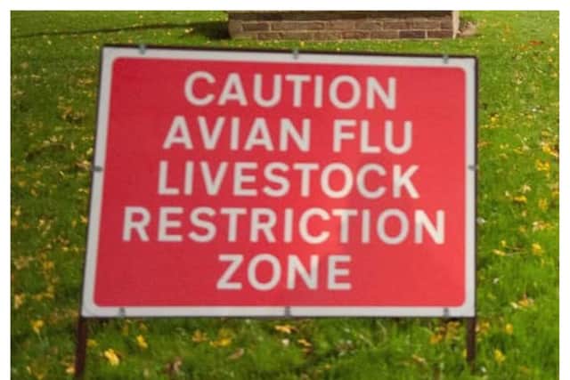 Bird flu confirmed on commercial poultry farm in England | Ghana News ...