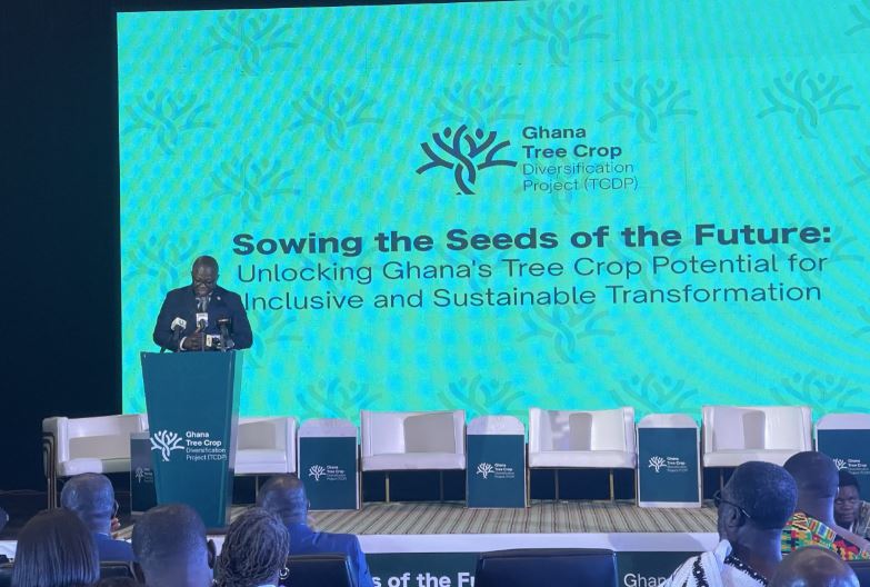 Ghana launches Tree Crop Diversification Project for economic ...