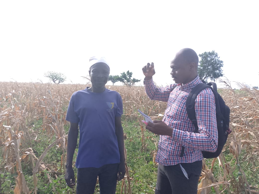 Irrigation: Surviving the impact of dry spells in Northern Region ...