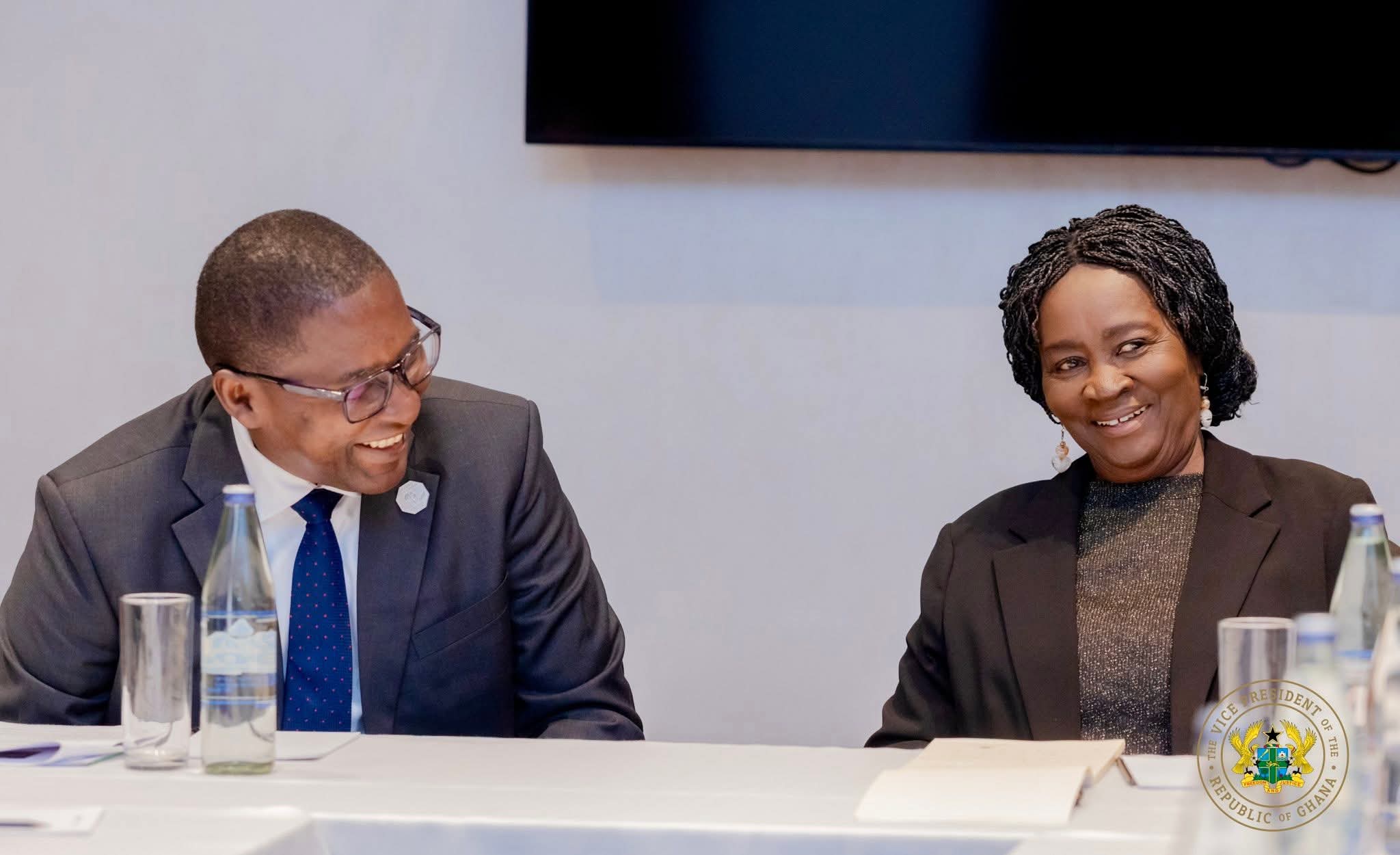 Vice President holds bilateral meeting with Special Advisor to UN ...