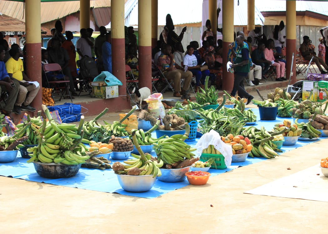 53-year-old businessman crowned Overall Best Farmer in Juaben Municipality 