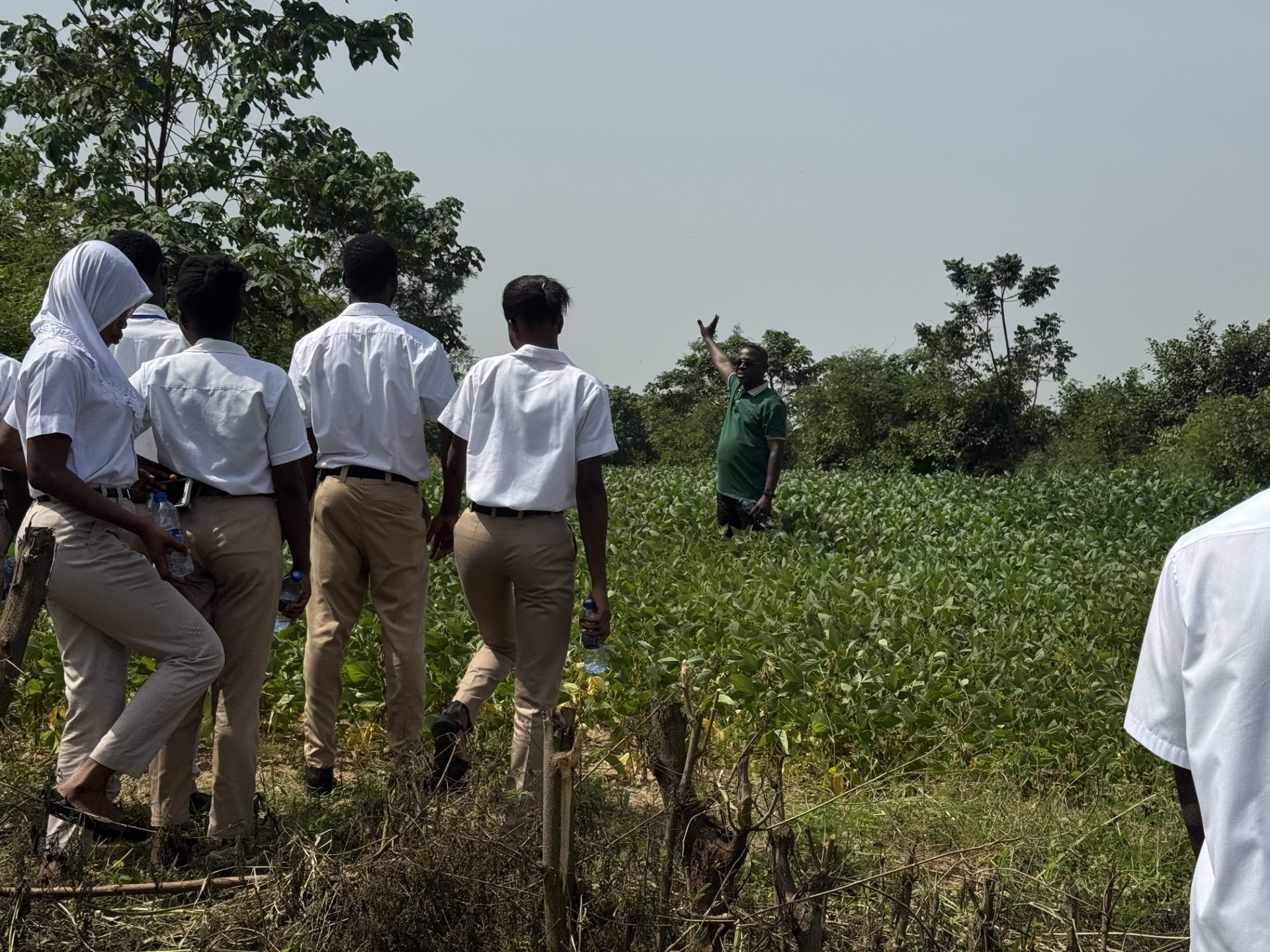 CSIR-CRI highlights crucial role of early generation seeds in soybean production