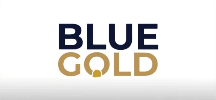 Cayman Court Halts Blue Gold EGM Over Alleged Shareholder Rights Breach