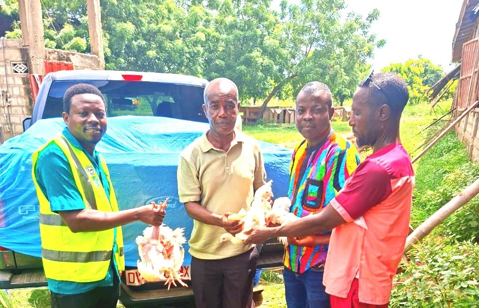 Yilo Krobo Assembly distributes local chickens under Feed Ghana Initiative