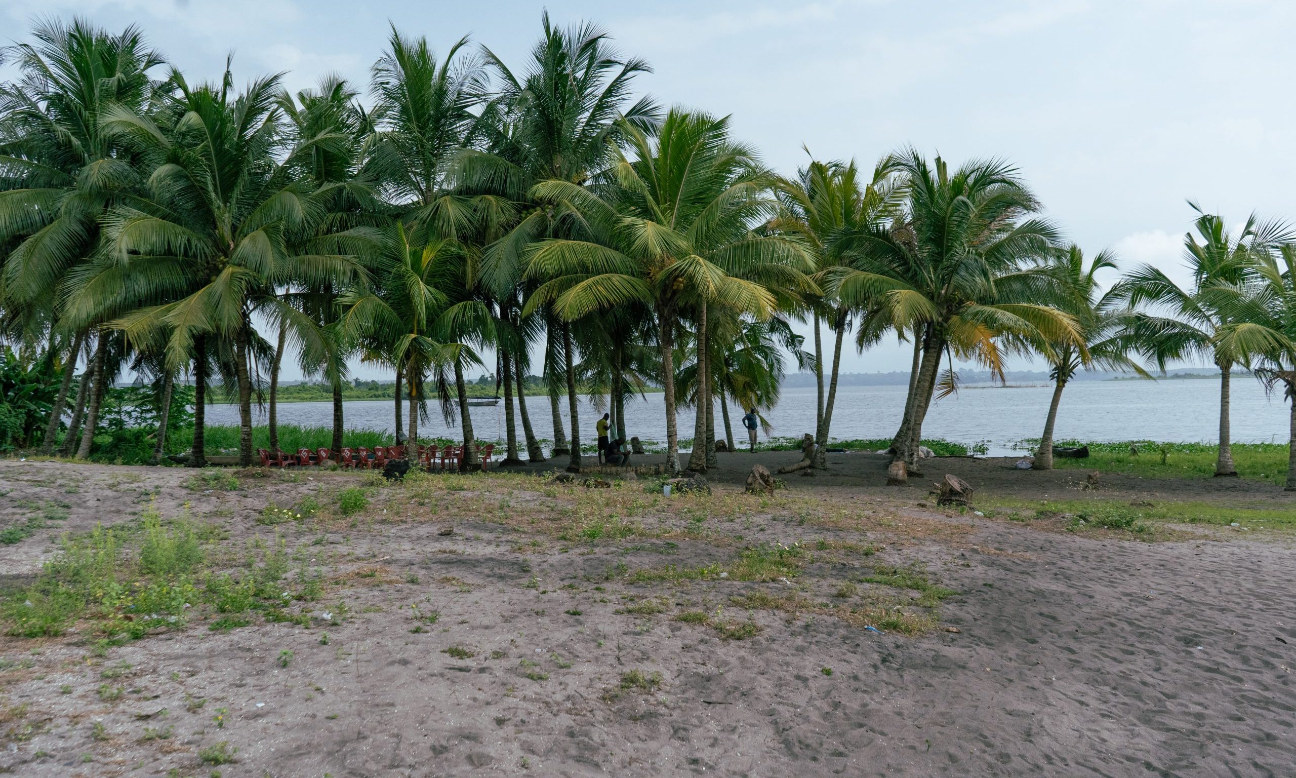 ActionAid Ghana raises alarm over coastal pollution, climate risks on Earth Day