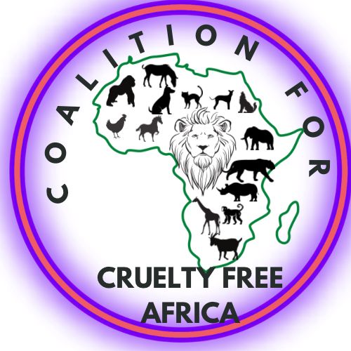 Coalition calls for urgent action after BBC AFRICA exposes animal abuse scams in Uganda 