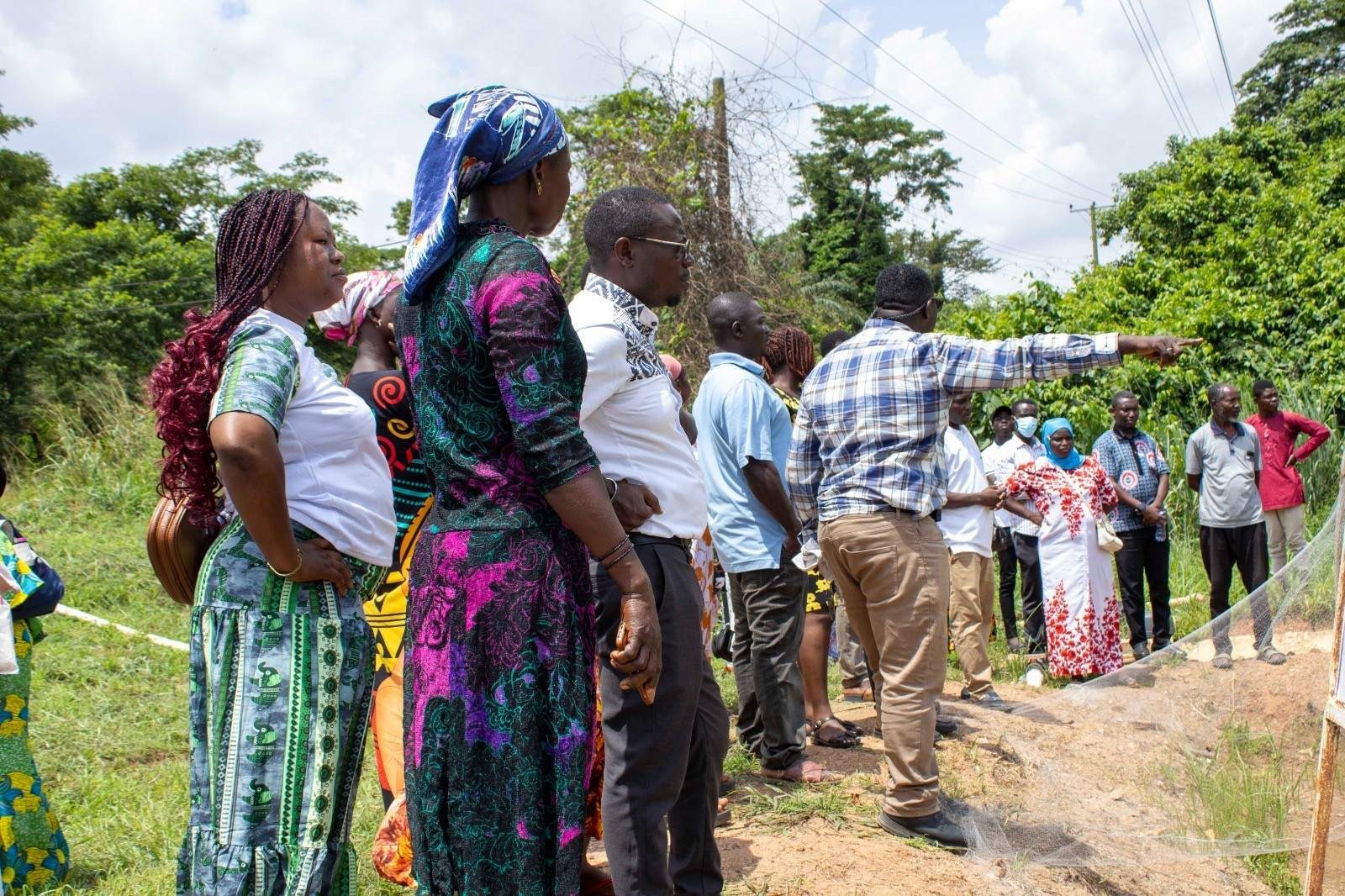 CSIR-CRI trains rice farmers, value chain actors on good agronomic ...