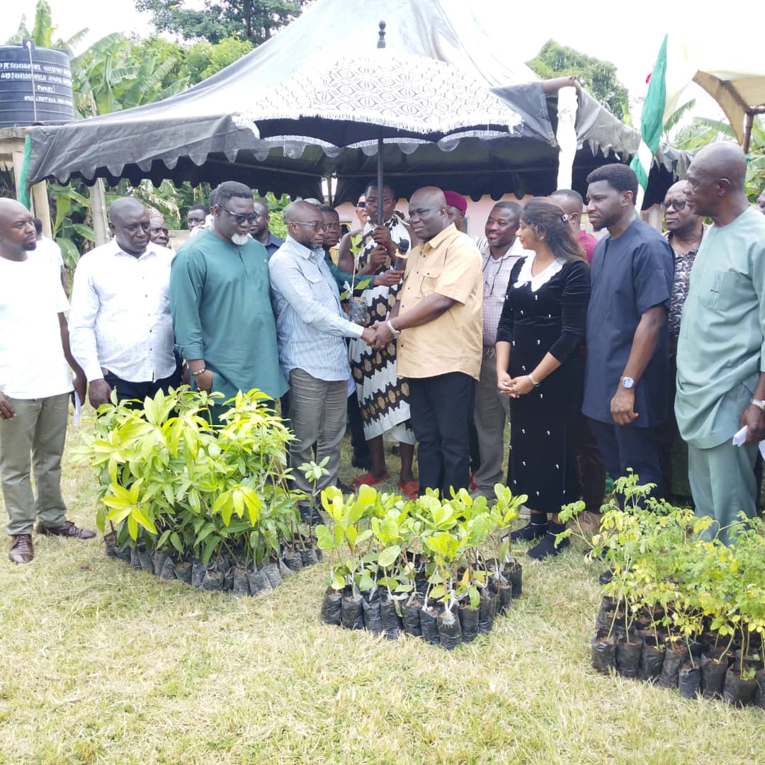 Climate Change mitigation: MoFA distributes over one million economic tree seedlings to farmers in three regions