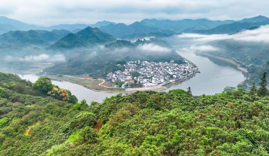 Xiconomics: Why China’s green turn matters in a warming world