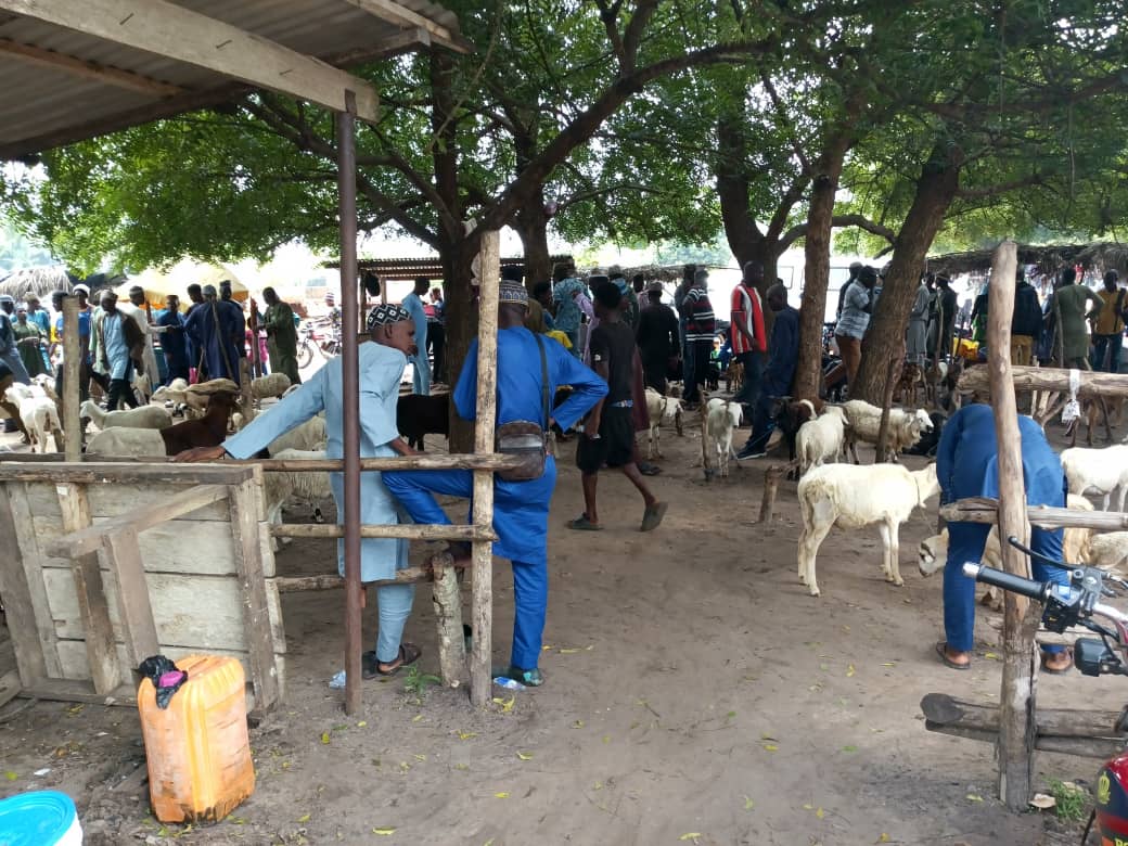 Adaklu Waya animal market blossomed to a fledging bazaar 