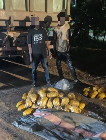 Police Intercept Truck Loaded with Suspected Indian Hemp, Arrest Two