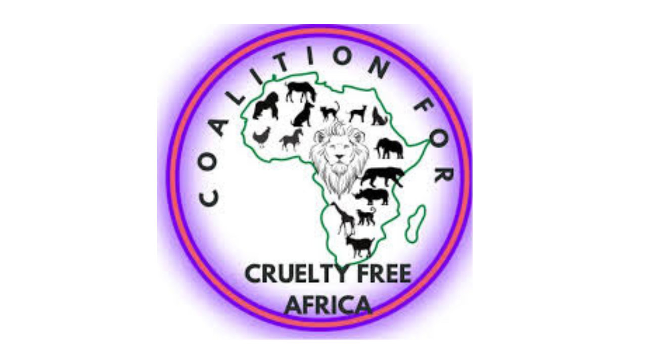 Coalition for Cruelty-Free Africa condemns mass killing of dogs in Ethiopia