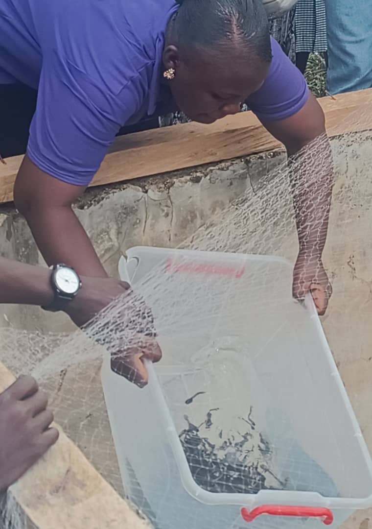 Showbuoy Foundation donates catfish fingerlings to Twifo Hemang SHTS 