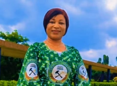 Thousands to benefit from free skills training at BAYA national congress