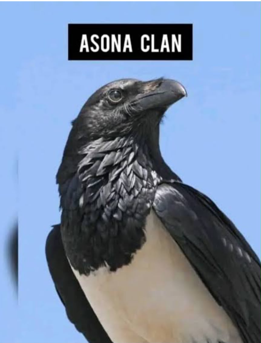 Asona Royal Family calls for postponement of Gomoa Wassa Akwambo Festival